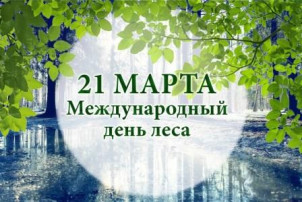 День леса День леса.