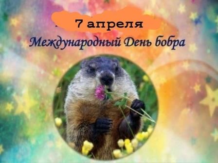 День бобра День бобра.