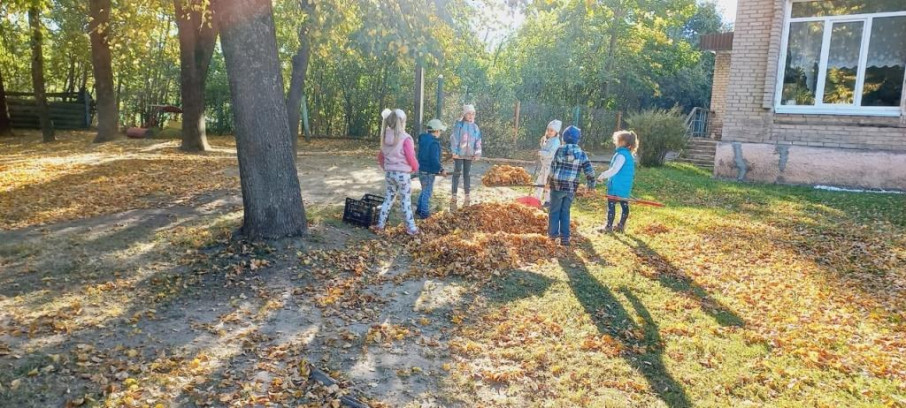 Уборка листьев Уборка листьев.